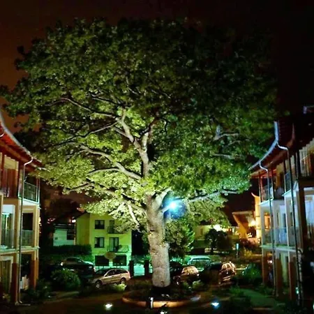 5 Dębów Nocleg ze śniadaniem 3*