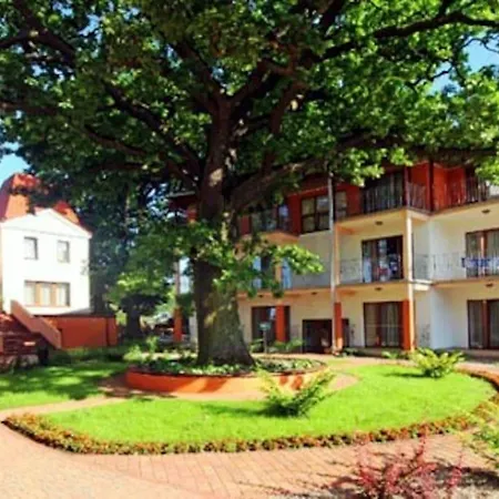 5 Debow Bed & Breakfast 3*