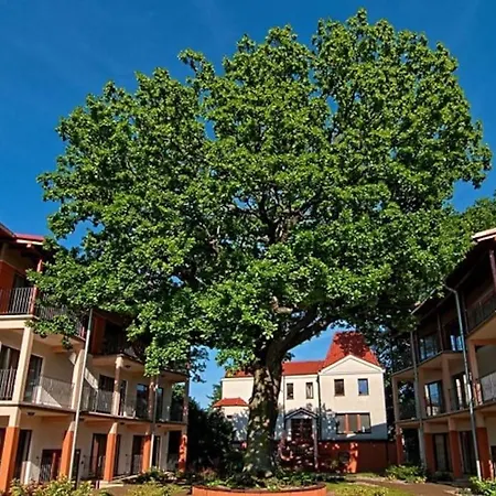 Nocleg ze śniadaniem 5 Dębów