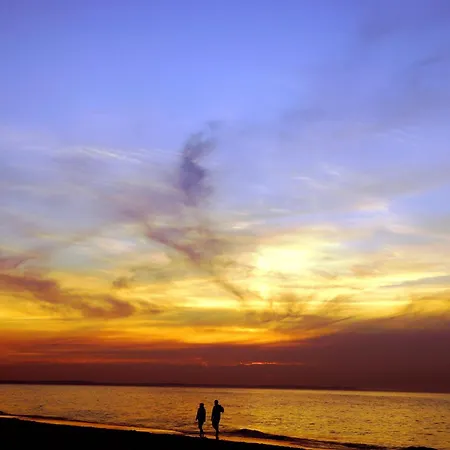 Bed & Breakfast 5 Debow