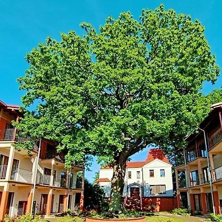 5 Debow 3* Miedzyzdroje