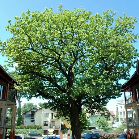 Bed & Breakfast 5 Debow Miedzyzdroje