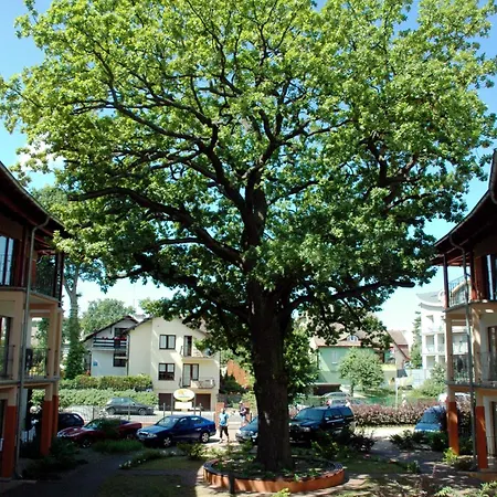 Bed & Breakfast 5 Debow Miedzyzdroje