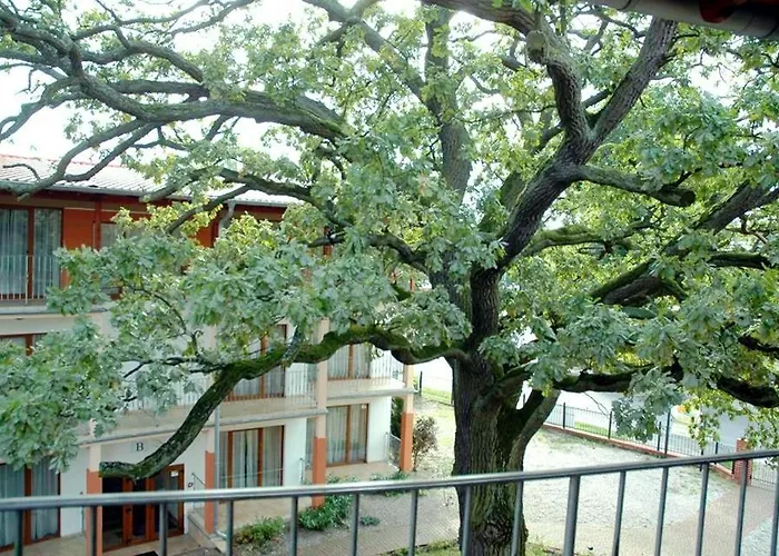 5 Debow 3* Miedzyzdroje