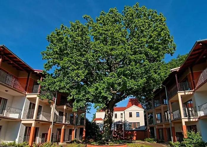 Bed & Breakfast 5 Debow