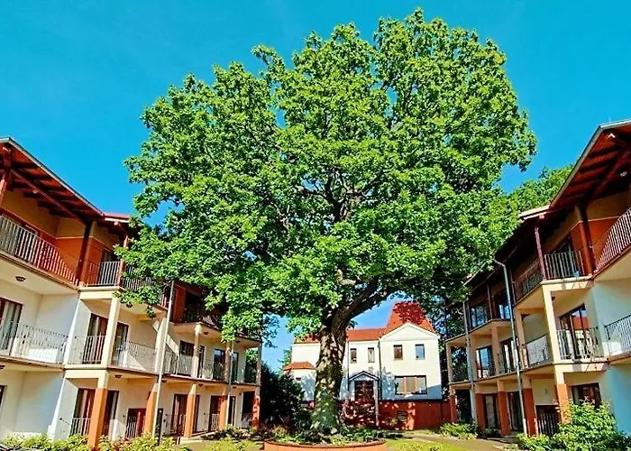 5 Debow 3* Miedzyzdroje