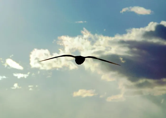 5 Debow 3* Miedzyzdroje