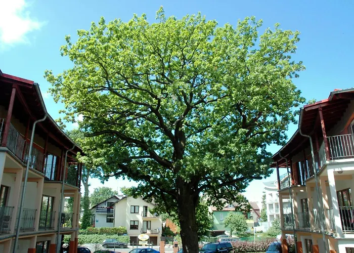 Bed & Breakfast 5 Debow Miedzyzdroje