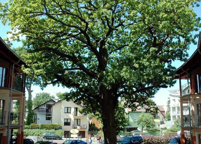 Bed & Breakfast 5 Debow Miedzyzdroje